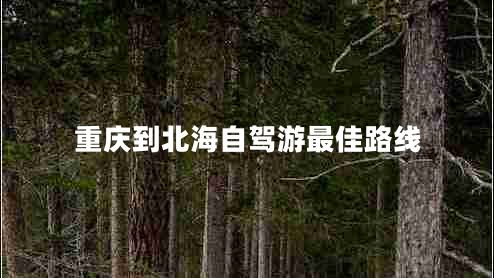 重慶到北海自駕游最佳路線