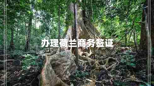 辦理荷蘭商務簽證 辦理荷蘭商務簽證