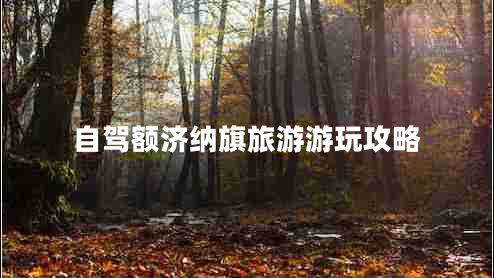 自駕額濟(jì)納旗旅游游玩攻略 自駕額濟(jì)納旗旅游游玩攻略