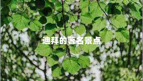 迪拜的著名景點(diǎn)
