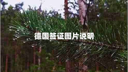 德國簽證圖片說明 德國簽證圖片說明