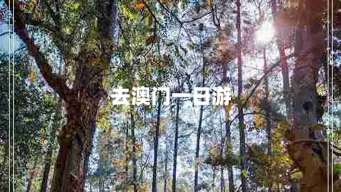 去澳門(mén)一日游