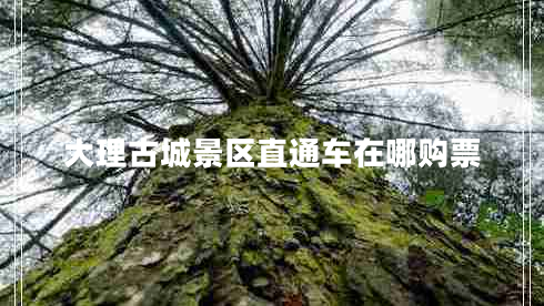 大理古城景區(qū)直通車在哪購票