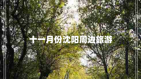 十一月份沈陽周邊旅游 十一月份沈陽周邊旅游