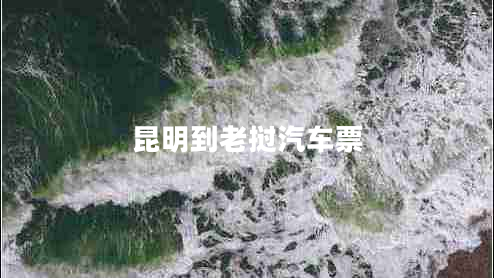 昆明到老撾汽車票