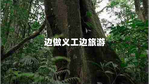 邊做義工邊旅游