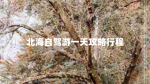 北海自駕游一天攻略行程 北海自駕游一天攻略行程