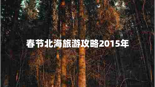 春節(jié)北海旅游攻略2015年