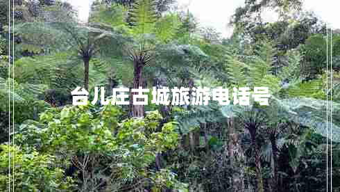 臺兒莊古城旅游電話號