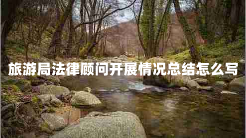 旅游局法律顧問開展情況總結怎么寫