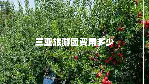 三亞旅游團(tuán)費(fèi)用多少