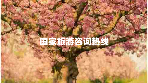 國(guó)家旅游咨詢熱線 國(guó)家旅游咨詢熱線