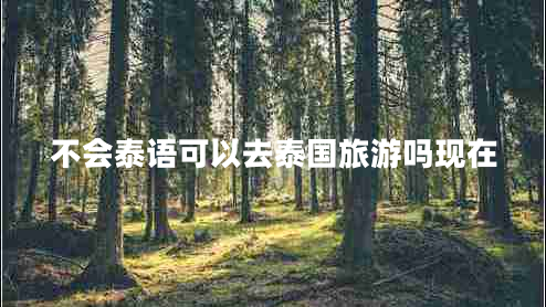 不會(huì)泰語(yǔ)可以去泰國(guó)旅游嗎現(xiàn)在