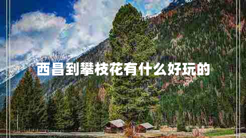 西昌到攀枝花有什么好玩的