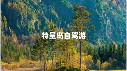 特呈島自駕游 特呈島自駕游