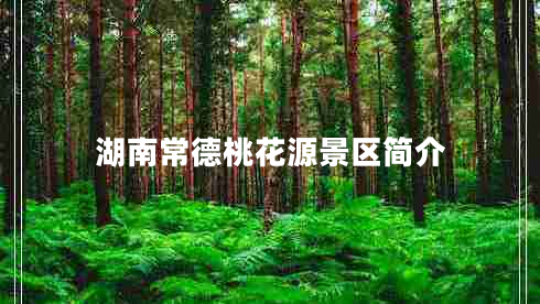湖南常德桃花源景區(qū)簡(jiǎn)介