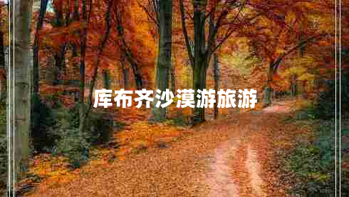 庫布齊沙漠游旅游