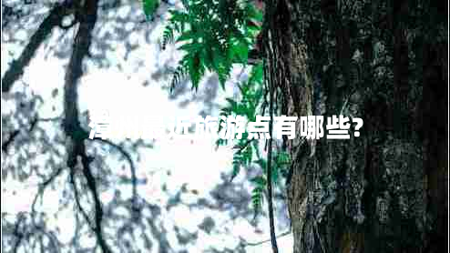 漳州最近旅游點(diǎn)有哪些?