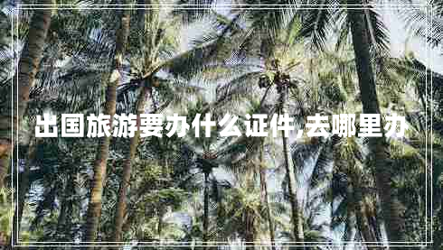 出國旅游要辦什么證件,去哪里辦 出國旅游要辦什么證件,去哪里辦