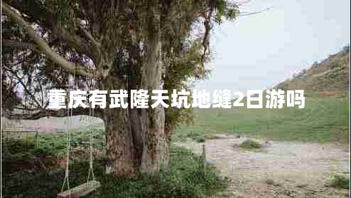 重慶有武隆天坑地縫2日游嗎