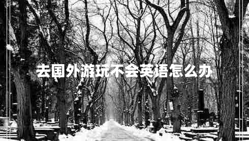 去國外游玩不會英語怎么辦