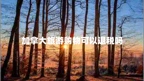 加拿大旅游購物可以退稅嗎