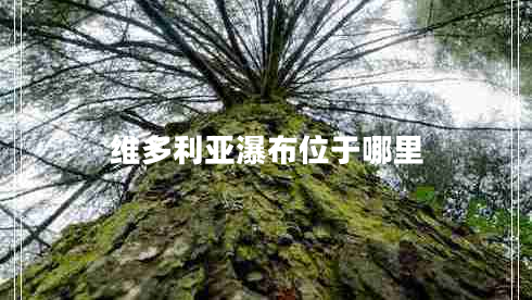 維多利亞瀑布位于哪里