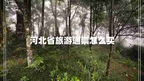 河北省旅游通票怎么買(mǎi)