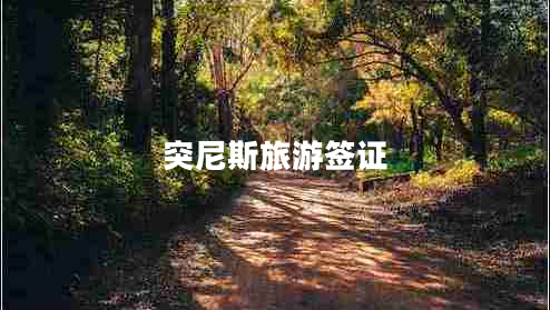 突尼斯旅游簽證 突尼斯旅游簽證