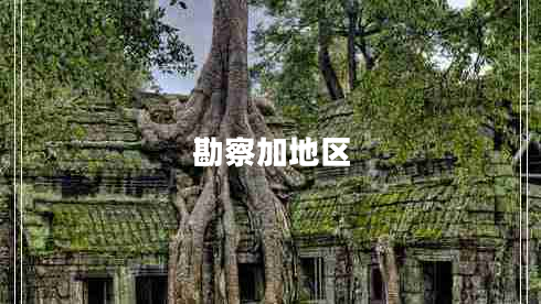 勘察加地區(qū)