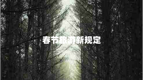 春節(jié)旅游新規(guī)定