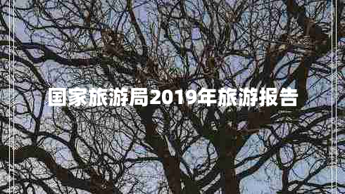 國家旅游局2019年旅游報(bào)告