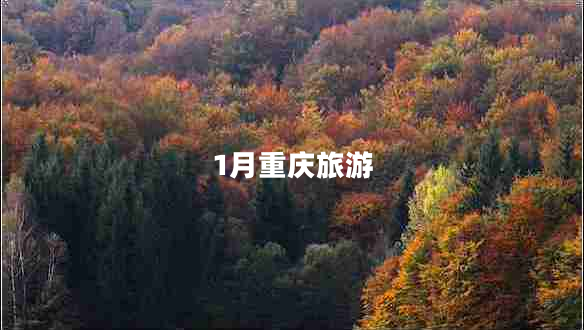 1月重慶旅游