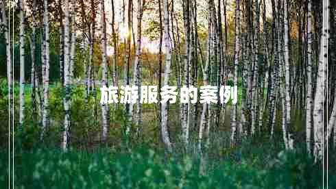 旅游服務(wù)的案例
