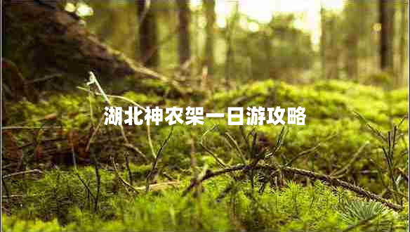 湖北神農(nóng)架一日游攻略 湖北神農(nóng)架一日游攻略