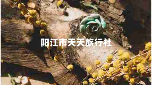 陽江市天天旅行社 陽江市天天旅行社