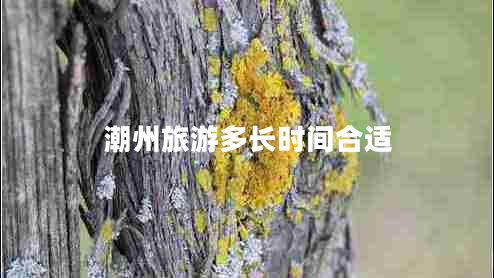 潮州旅游多長時間合適