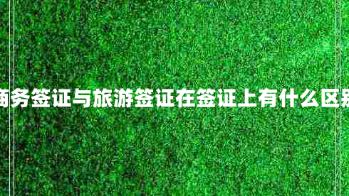 商務(wù)簽證與旅游簽證在簽證上有什么區(qū)別 商務(wù)簽證與旅游簽證在簽證上有什么區(qū)別