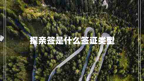 探親簽是什么簽證類型 探親簽是什么簽證類型