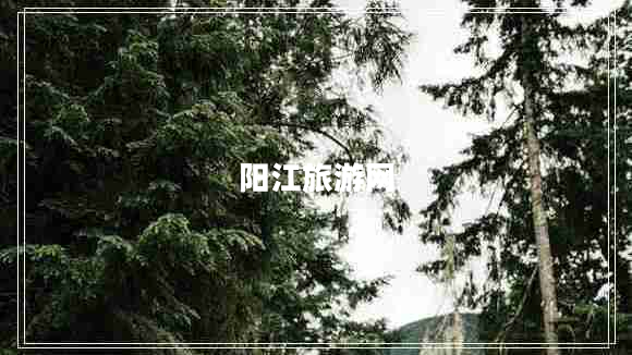 陽江旅游網(wǎng) 陽江旅游網(wǎng)