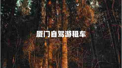 廈門自駕游租車