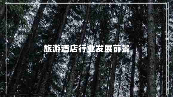 旅游酒店行業(yè)發(fā)展前景