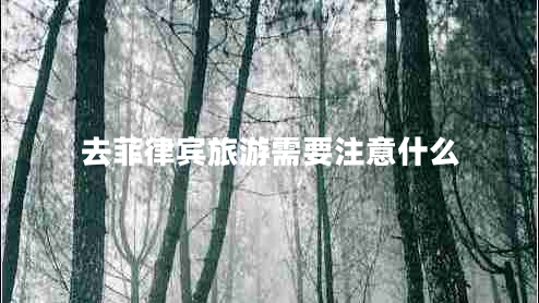 去菲律賓旅游需要注意什么