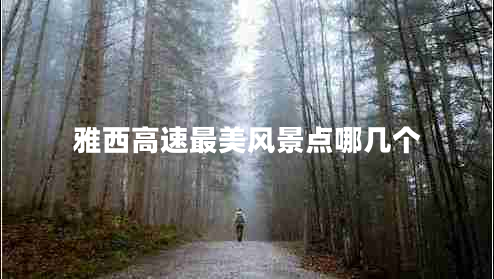 雅西高速最美風(fēng)景點哪幾個