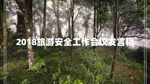 2018旅游安全工作會議發(fā)言稿