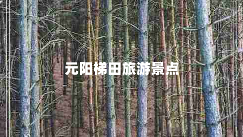 元陽(yáng)梯田旅游景點(diǎn)