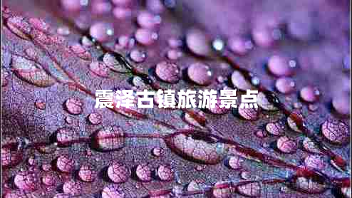 震澤古鎮(zhèn)旅游景點(diǎn)