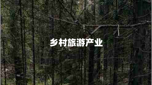 鄉(xiāng)村旅游產(chǎn)業(yè)