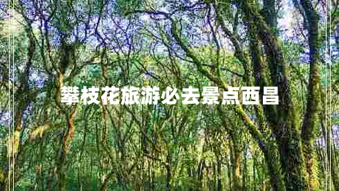 攀枝花旅游必去景點西昌