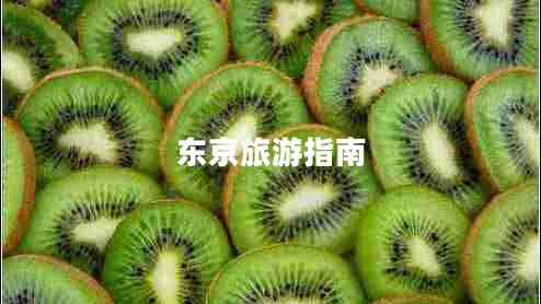 東京旅游指南 東京旅游指南
